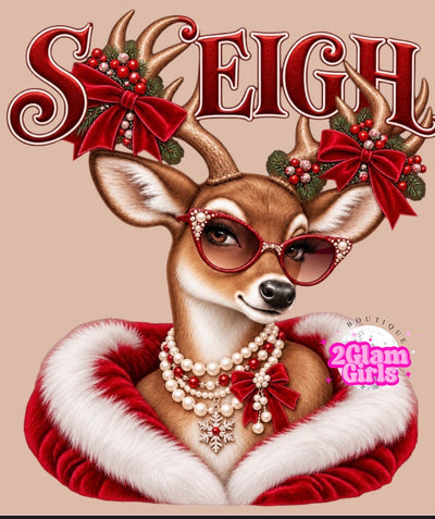 Sleigh / Brim DTF print