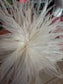 High Quality Ostrich feathers Brooch for trucker Hats