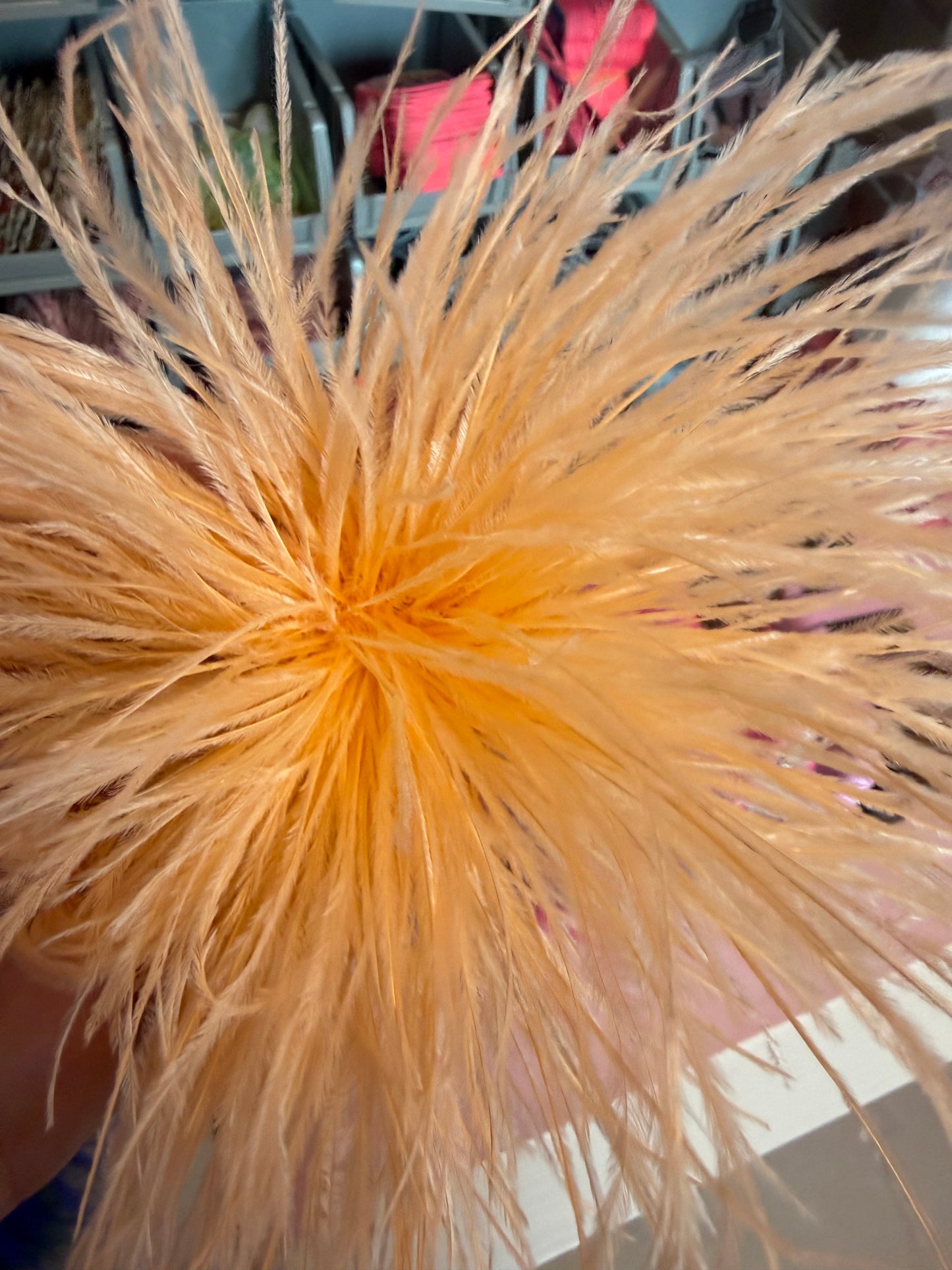 High Quality Ostrich feathers Brooch for trucker Hats