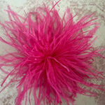 High Quality Ostrich feathers Brooch for trucker Hats